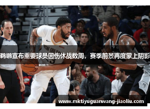 鹈鹕宣布重要球员因伤休战数周，赛季前景再度蒙上阴影