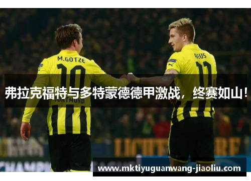 弗拉克福特与多特蒙德德甲激战，终赛如山！