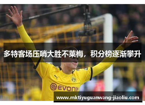 多特客场压哨大胜不莱梅，积分榜逐渐攀升